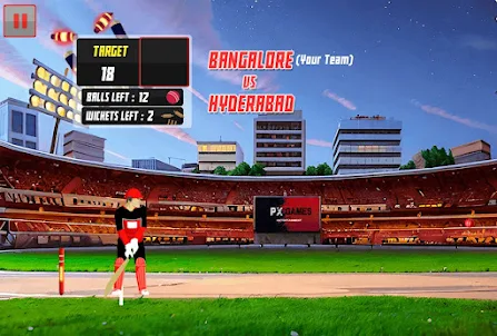 Premier T20: IPL cricket game