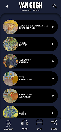 Vangogh Immersive Experience