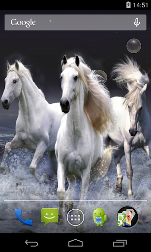 Horses Live Wallpaper Screen 3