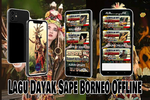 Android application Musik Sape Dayak Borneo Offlin screenshort