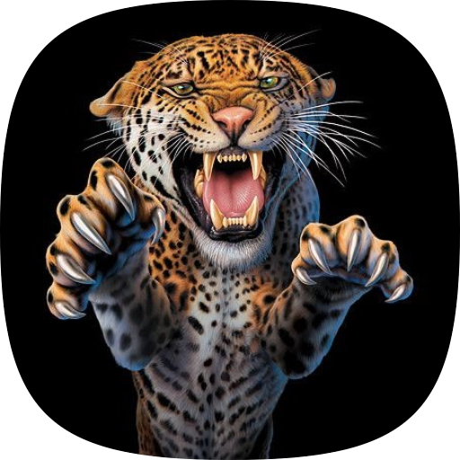 Leopard Wallpapers HD Download on Windows