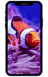 광고 물고기 월페이퍼 HD