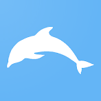 Dolphins Memory Game
