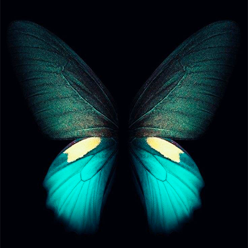 Amoled Wallpapers logo
