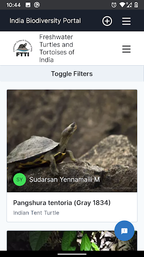 Freshwater Turtles and Tortois Screen 3