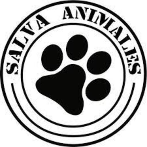 Ong Salva Animales Maldonado logo