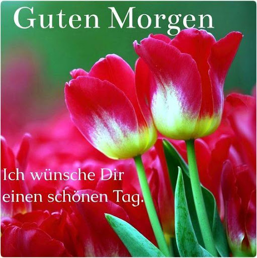 Android application Guten Morgen,Abend Gute Nacht screenshort