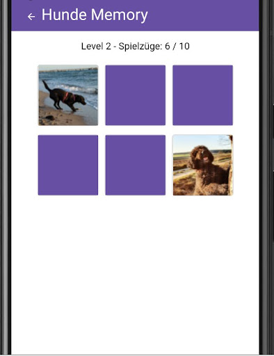 Mein Hunde Tagebuch Screen 3