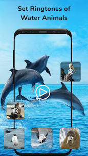 Animal Sounds Ringtone Maker APK for Android Download 5