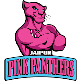 Jaipur Pink Panthers icon
