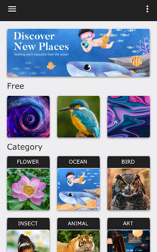 Cross Stitch by Number