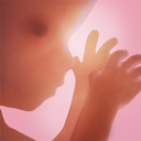 Embarazo + | app de seguimiento semanal en 3D