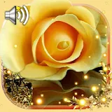 Roses Gallery Live Wallpaper icon