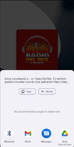 RADIO DEL MIX Screen 3