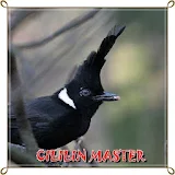 Cililin Master Mp3 icon