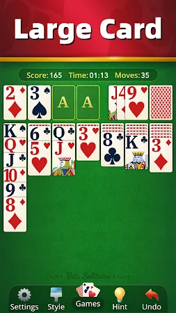 Game screenshot Vita Solitaire for Seniors apk download
