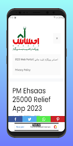 PM Ehsaas 25000 Relief - 8171