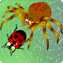 Home of Angry Spider 2.5 APK تنزيل