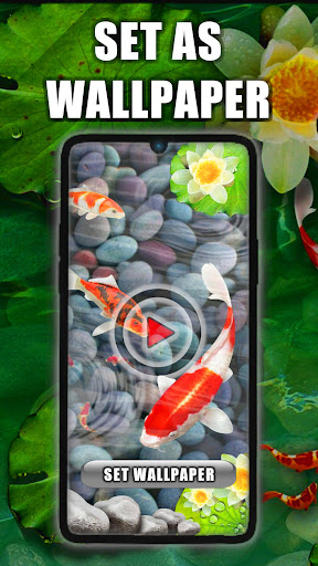Android application Koi Pond Live Wallpaper screenshort