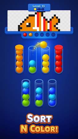 Game screenshot Sort N Color Puzzle Game mod apk