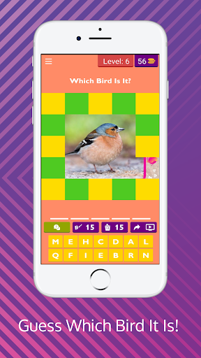 Android application Guess Which Bird It Is! screenshort