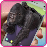 Gorilla On Screen Prank icon