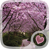 Sakura Hearts Wallpaper icon