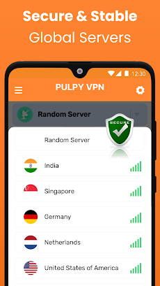 Pulpy VPN - Secure VPN Proxyのおすすめ画像4
