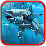 Sharks Jigsaw Puzzles Brain Games for Kids icon