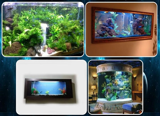 aquarium design