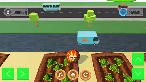 Cross Road Happy Land