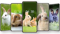 Cute Rabbit Wallpaper HDのおすすめ画像3