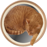 Cat's Curling icon