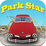 Parking Star icon