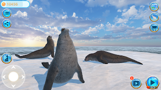 Seal Island - Screenshot 1