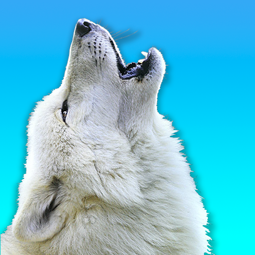 Wolf Stickers for WA Download on Windows