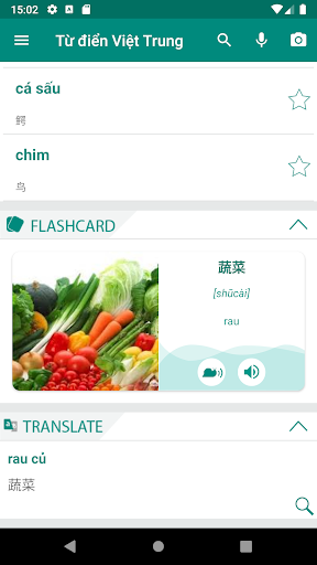 Android application Vietnamese French Dictionary screenshort