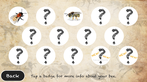 Bee Trail Screen 2