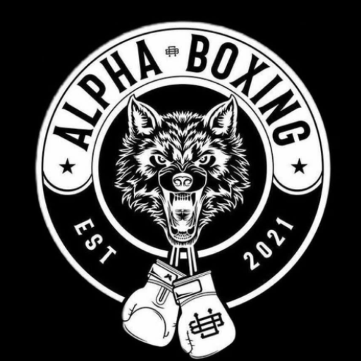 Alpha Boxing Download on Windows