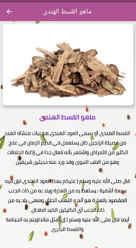 القسط الهندى Saussurea costus Screen 2