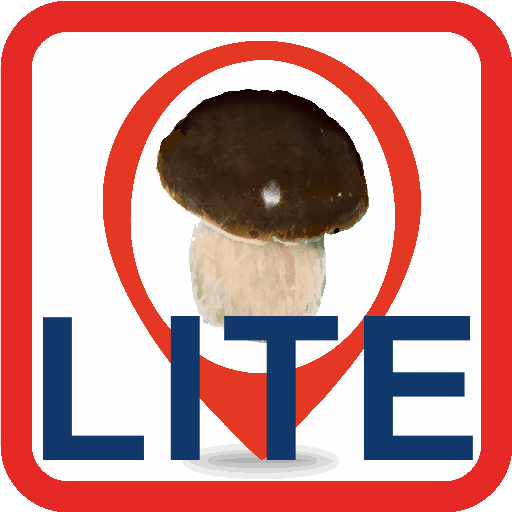 Mushrooms on the Map  Icon
