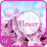Flower GIF 2017 icon