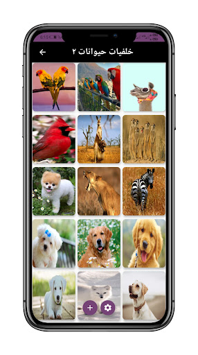 خلفيات حيوانات لطيفة 2022