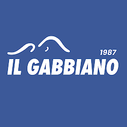 Slika ikone Il Gabbiano