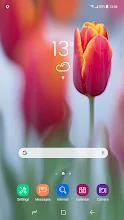 Blume Fruhling Wallpaper Hd Apps Bei Google Play