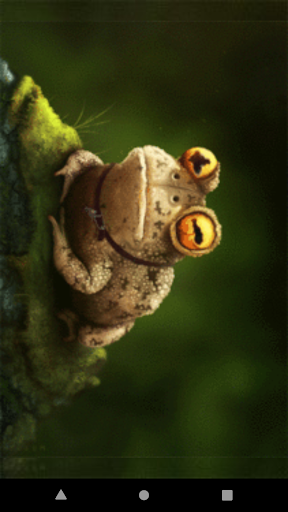 Hypnotoad psychedelic