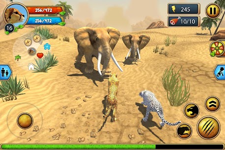 Cheetah Family Sim – Animal Simulator 15