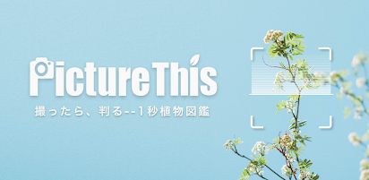 Picturethis 撮ったら 判る 1秒植物図鑑 Apps On Google Play