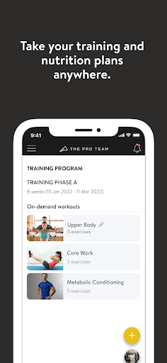 The Pro Team Screen 2
