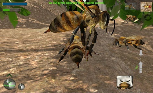 Bee Nest Simulator 3D – Insect Apk For Android 5